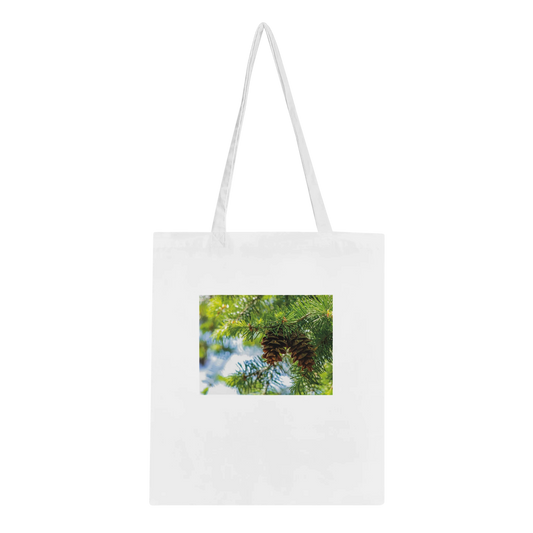 6585521d-886a-49ba-a41a-7dbf6fb2777c