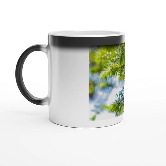 b09dff8b-a8d7-436d-b7b4-10b000a4de8c